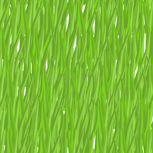 绿草无缝图案。 矢量背景天然绿色植物