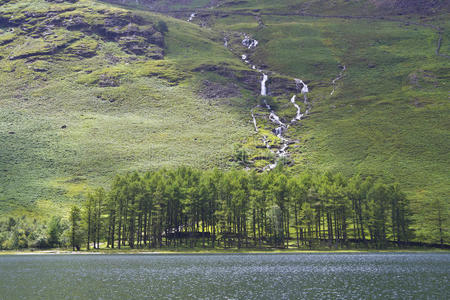 牧场 银行 风景 英语 峡湾 英国 森林 荒野 植被 水库