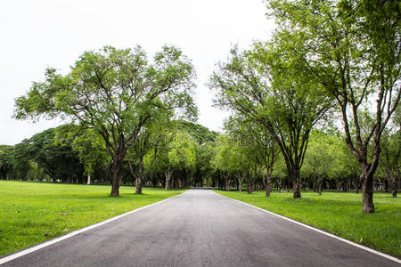 场景 乡村 目的地 草地 自然 旅行 开车 空的 长的 公司