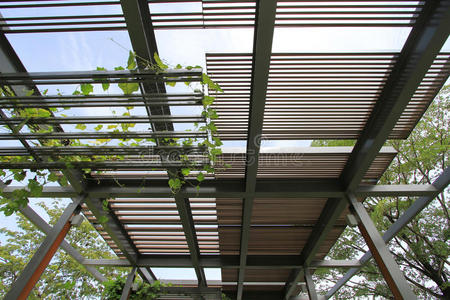 天花板 木板 松木 面板 建筑 自然 硬木 居民 网格 建设