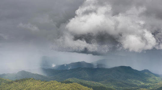 小山 危险 高的 泰国 森林 洪水 春天 薄雾 季节 暴风雨