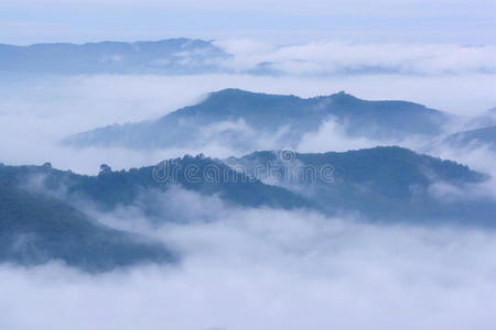 山顶上美丽的雾海的背景