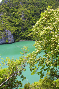 泰国绿色中国海KhoPhangan湾的海岸线