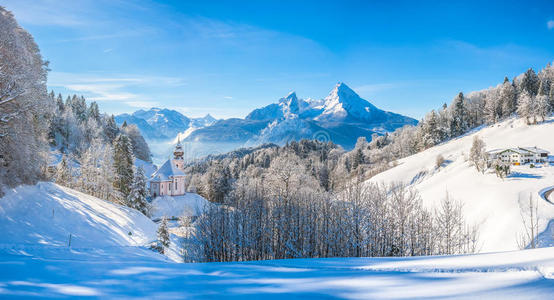 格恩 森林 土地 风景 阿尔卑斯山 奥地利 假期 欧洲 乡村