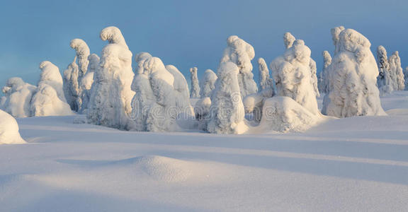 雪地里的树