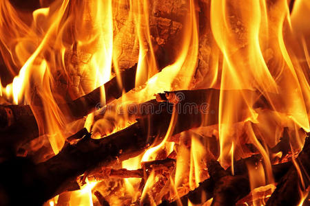 热的 木材 壁炉 能量 熔炉 日志 木柴 温暖的 篝火 特写镜头