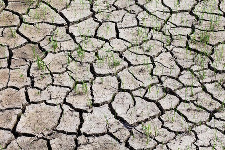 干旱地裂纹图片-干旱地裂纹素材-干旱地裂纹插画-摄图新视界