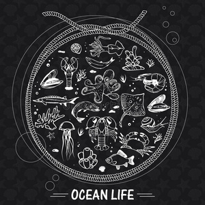 滑冰 海洋 水母 插图 生活 绘画 章鱼 地中海 龙虾 海的