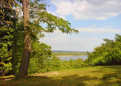 公园 草地 树叶 乡村 卡尼夫 欧洲 风景 落下 场景 灌木