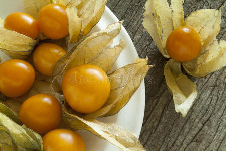 非洲地面樱桃图片