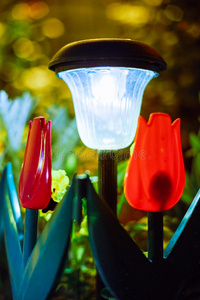 保护 园艺 美丽的 灯笼 充电器 环境 傍晚 电灯泡 节能