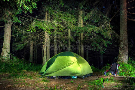 在森林里露营