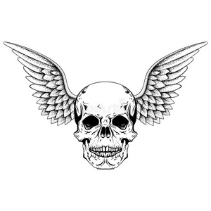 手绘草图头骨与翅膀,纹身线艺术. 古董v照片