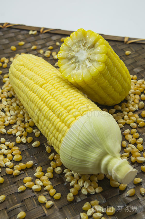 玉米牛奶谷物成熟农作物粮食自然收获的概念