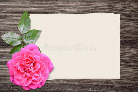 古老的 邀请 复古的 花的 玫瑰 笔记本 粉红色 咕哝 绘画