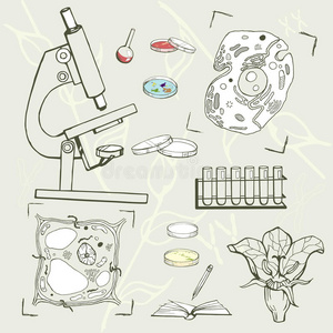 生物教育设备，细胞，草图图标