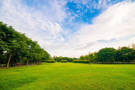 曼谷公园球场上的绿色草坪