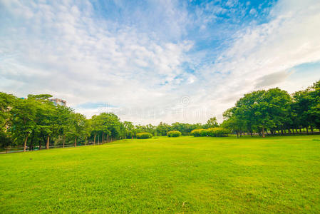 曼谷公园球场上的绿色草坪