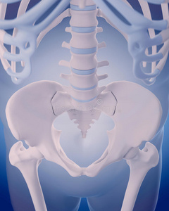 腰椎骨盆(髋)骨右骨盆(臀部)腰带骨盆(臀部)腰带臀部的骨头老年人x线