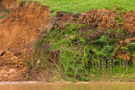 沿海 草坪 流动的 崩溃 亚洲 腐蚀 污垢 自然 银行 黏土