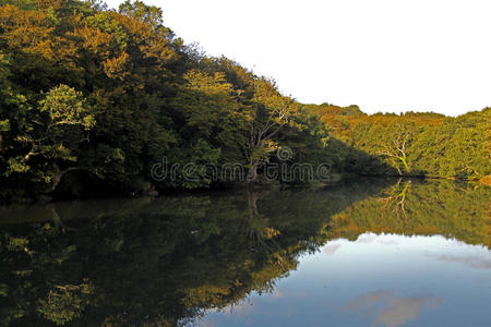 阿文 庞特 法国 美女 自然 反射 近的 早晨 场景 布列塔尼