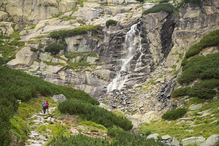 公园 自然 斯科克 岩石 流动 级联 夏天 森林 高的 落下