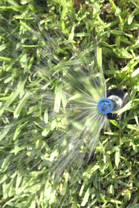 自动草坪草和花园洒水器