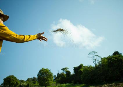 撒种子图片