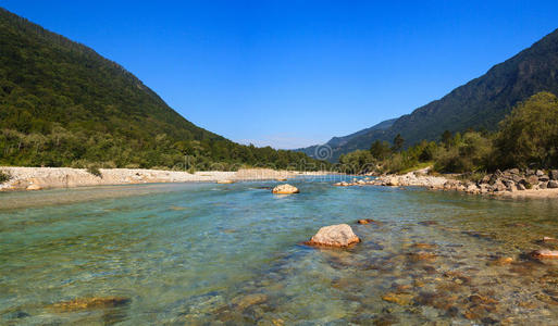 风景 森林 美丽的 斯洛文尼亚 国家的 银行 小山 自然