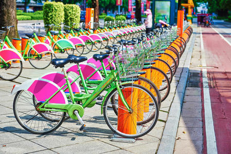 公园 摩托车 自行车 闲暇 污染 租金 城市型 城市 生态学