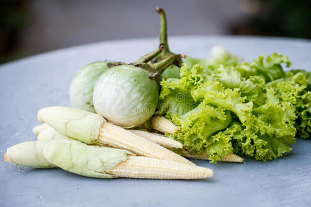 饮食 物体 营养 节食 健康 激进分子 颜色 生物 草本植物