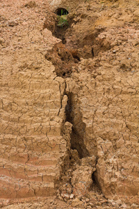 环境 黏土 腐蚀 气候 打破 地球 裂纹 损害 地面 自然