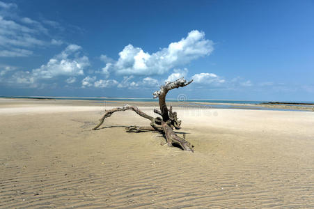 非洲 漂流 自然 全景图 海岸 莫桑比克 旅游业 群岛 海洋
