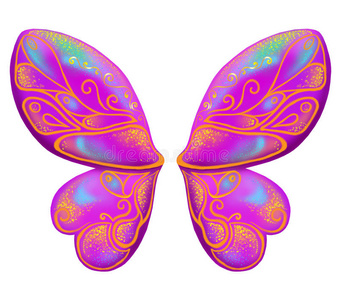 美丽的蝴蝶翅膀图片