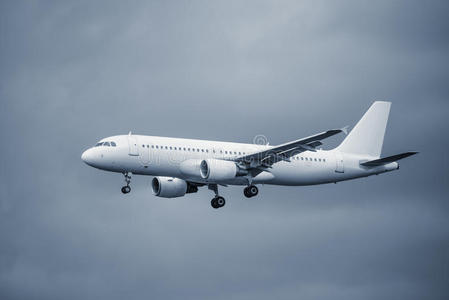 课程 旅行 方向 目的地 航空 气氛 土地 机场 内衬 着陆