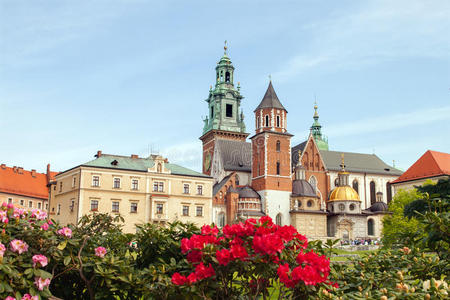 磨光 克拉科夫 地标 历史 纪念碑 波兰 古老的 宫殿 国王
