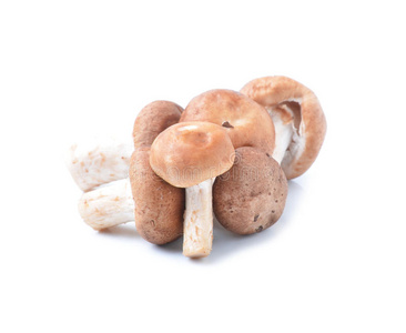 白色背景的新鲜有机蘑菇