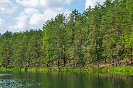 自然 海滩 池塘 场景 地平线 树干 落下 俄罗斯 乡村