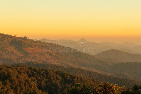 自然 环境 公园 场景 山腰 旅行 风景 小山 薄雾 早晨
