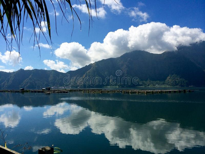 假期 地区 美女 范围 亚洲 公园 自然 池塘 风景 巴厘岛