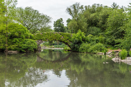 公园 约克 美国 地标 自然 新的 纽约市 城市 池塘 反射