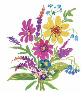 开花 美女 插图 花园 植物学 花束 横幅 分支 自然 绘画