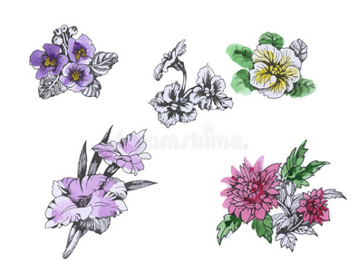 形象 艺术 花园 植物学 自然 绘画 开花 美女 花束 植物区系