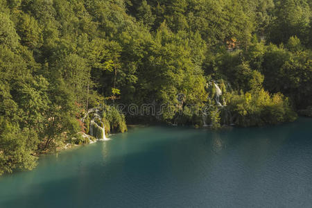 旅行 地标 植物区系 公园 风景 湖泊 追踪 美丽的 旅游业