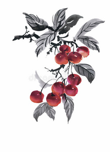 树叶 秋天 森林 植物区系 水果 模式 古董 纸张 插图