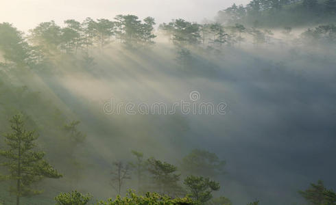 环境 流动 美丽的 冒险 早晨 黎明 天空 太阳 场景 夏天