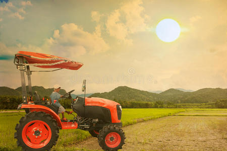 稻田上的亚洲小男孩驾驶拖拉机