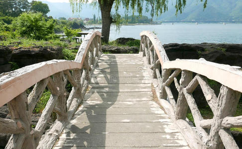 自然 落下 花园 步行 公园 海洋 人行道 车道 森林 日本