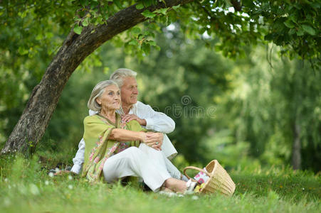 有趣的老夫妇野餐