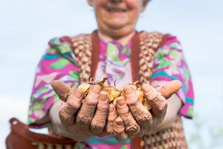 种植 食物 特写镜头 女士 古老的 花园 手指 成人 照顾